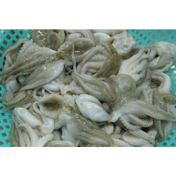 FROZEN BABY OCTOPUS